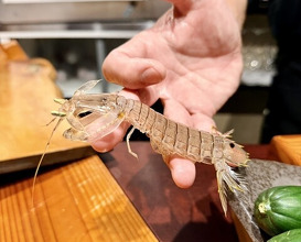 Dinner at Sushi Sho Nomura (鮨匠 のむら)