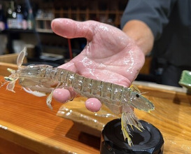 Dinner at Sushi Sho Nomura (鮨匠 のむら)