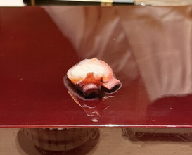 Dinner at Sushisho Saitō (すし匠 齋藤)