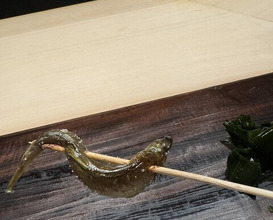 Dinner at Sushisho Saitō (すし匠 齋藤)