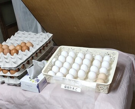 Dinner at Suzaki Shokuryohin Ten (須崎食料品店)