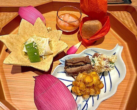 Dinner at Goko Machi Tagawa (御幸町 田がわ)