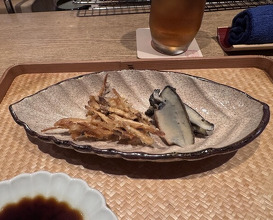 Dinner at Goko Machi Tagawa (御幸町 田がわ)