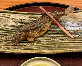 Dinner at Japanese cuisine Tagetsu (日本料理 太月)