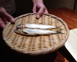 Dinner at Japanese cuisine Tagetsu (日本料理 太月)