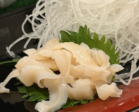 Dinner at Takara Zushi Bunten (宝寿司分店)