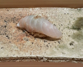 Dinner at Takumi Shingo (匠 進吾)