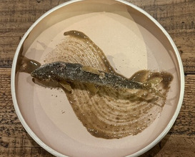 Dinner at Terroir Ai to Ibukuro (Terroir愛と胃袋)