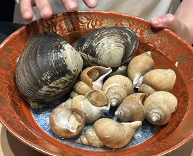 Dinner at Teruzushi