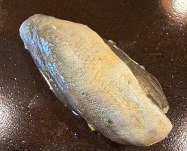Dinner at Tokiwa Sushi Shibata Honten