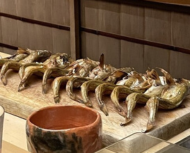 Dinner at Tokuha Motonari