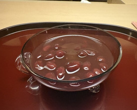 Dinner at Tokuha Motonari