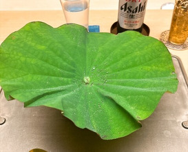 Dinner at Tokuha Motonari