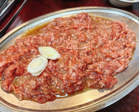 Dinner at Tokyo En (東京園)