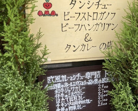 Dinner at European Curry Tomato (トマト)