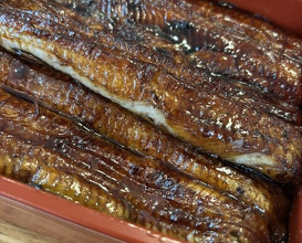 Dinner at Unagi Tei Tomoei (うなぎ亭 友栄)