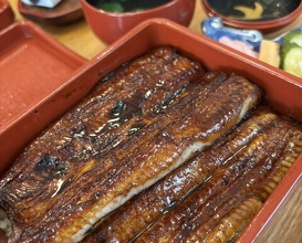 Dinner at Unagi Tei Tomoei (うなぎ亭 友栄)