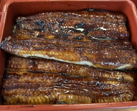 Dinner at Unagi Tei Tomoei (うなぎ亭 友栄)