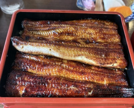 Dinner at Unagi Tei Tomoei (うなぎ亭 友栄)