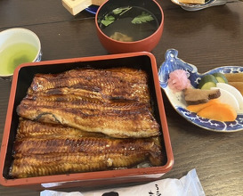 Dinner at Unagi Tei Tomoei (うなぎ亭 友栄)