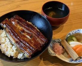 Dinner at Unagi Tei Tomoei (うなぎ亭 友栄)