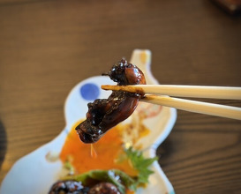 Dinner at Unagi Tei Tomoei (うなぎ亭 友栄)