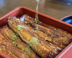 Dinner at Unagi Tei Tomoei (うなぎ亭 友栄)