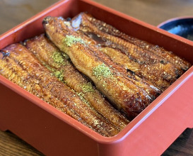 Dinner at Unagi Tei Tomoei (うなぎ亭 友栄)