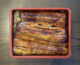 Dinner at Unagi Tei Tomoei (うなぎ亭 友栄)
