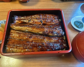 Dinner at Unagi Tei Tomoei (うなぎ亭 友栄)