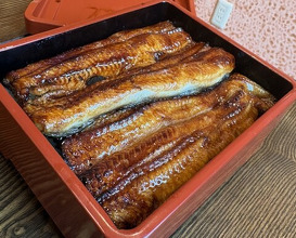 Dinner at Unagi Tei Tomoei (うなぎ亭 友栄)