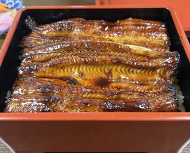Dinner at Unagi Tei Tomoei (うなぎ亭 友栄)