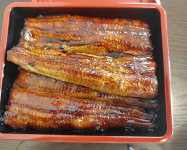Dinner at Unagi Tei Tomoei (うなぎ亭 友栄)