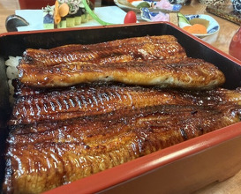 Dinner at Unagi Tei Tomoei (うなぎ亭 友栄)