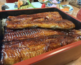 Dinner at Unagi Tei Tomoei (うなぎ亭 友栄)