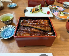 Dinner at Unagi Tei Tomoei (うなぎ亭 友栄)