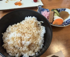 Dinner at Unagi Tei Tomoei (うなぎ亭 友栄)