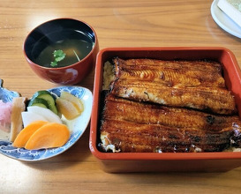 Dinner at Unagi Tei Tomoei (うなぎ亭 友栄)