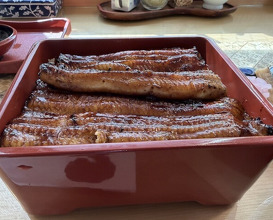 Dinner at Unagi Tei Tomoei (うなぎ亭 友栄)