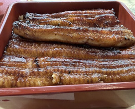 Dinner at Unagi Tei Tomoei (うなぎ亭 友栄)
