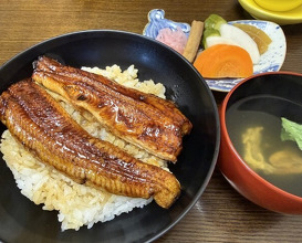 Dinner at Unagi Tei Tomoei (うなぎ亭 友栄)
