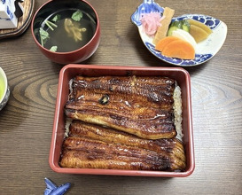 Dinner at Unagi Tei Tomoei (うなぎ亭 友栄)