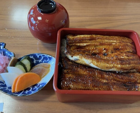 Dinner at Unagi Tei Tomoei (うなぎ亭 友栄)