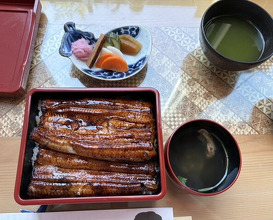 Dinner at Unagi Tei Tomoei (うなぎ亭 友栄)