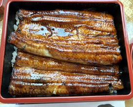 Dinner at Unagi Tei Tomoei (うなぎ亭 友栄)