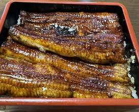 Dinner at Unagi Tei Tomoei (うなぎ亭 友栄)