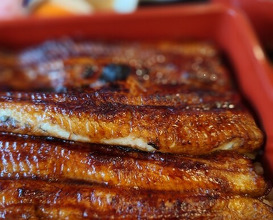 Dinner at Unagi Tei Tomoei (うなぎ亭 友栄)