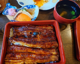 Dinner at Unagi Tei Tomoei (うなぎ亭 友栄)