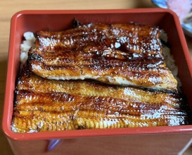 Dinner at Unagi Tei Tomoei (うなぎ亭 友栄)