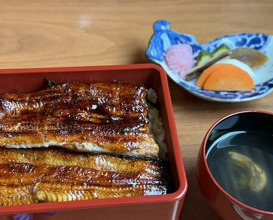 Dinner at Unagi Tei Tomoei (うなぎ亭 友栄)